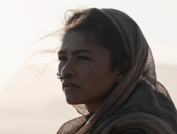 Profil dan Kariernya Zendaya