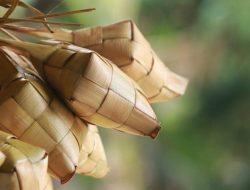 Bahaya Membungkus Ketupat dan Lontong dengan Plastik?