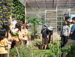 FPB UKSW kolaborasi dua fakultas, karya inovatif dukung ketahanan pangan nasional