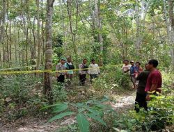 Pasca Serangan Harimau, Warga Musi Rawas Takut Beraktivitas, Mengharapkan Tindakan Pencegahan