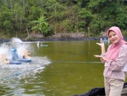 Mengenal ‘Cananga odorata’: Keajaiban Alam Bulukumba dengan Potensi Farmasi Global