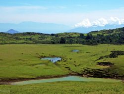 Tanggapan Kritis Ahli di Persidangan Hotel Setia Atambua