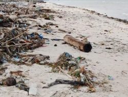 4 fakta misteri potongan tubuh di Samarinda: dari temuan bocah hingga identitas Miss X