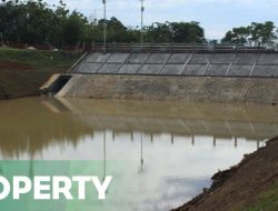 Walhi Lampung Kecewa RTH Berkurang dan Kawasan Resapan Hilang