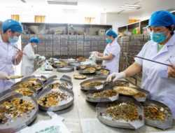 Ritual Pengobatan Viral, Pemerintah Izinkan Rizal dengan Syarat Ketat