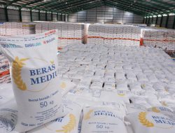 Panen Raya Jagung Blora, BULOG Serap Hasil Petani Jadi Pusat Nasional