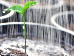 7 cara mengusir energi negatif di rumah