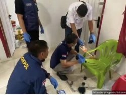 Nasib Tragis Maria Simaremare, Tewas Dianiaya Kekasih