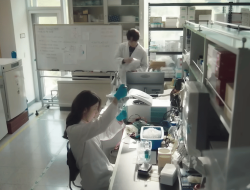 5 Pengorbanan Su Jeong untuk Keluarga dalam Phantom Lawyer