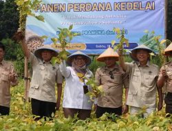 HKTI: Stok Beras Melimpah di Pasaran