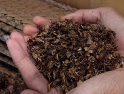 Pimpin Rotasi Personel, Kapolresta Banda Aceh: Upaya Segarkan dan Tingkatkan Kinerja